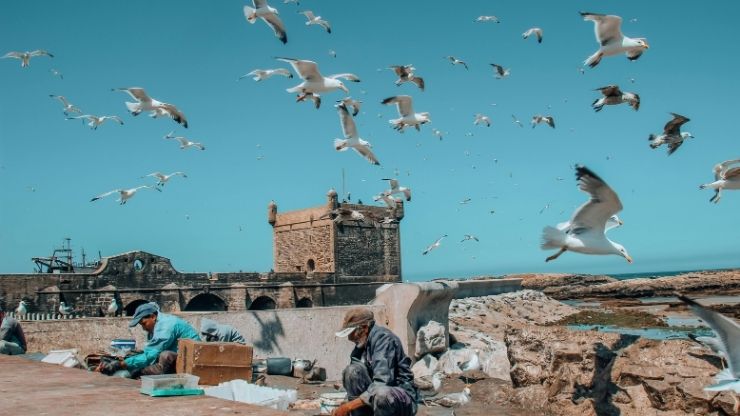 Tour di 12 giorni con partenza da Casablanca