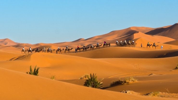 Erg Chebbi Sunrise Camel Trek