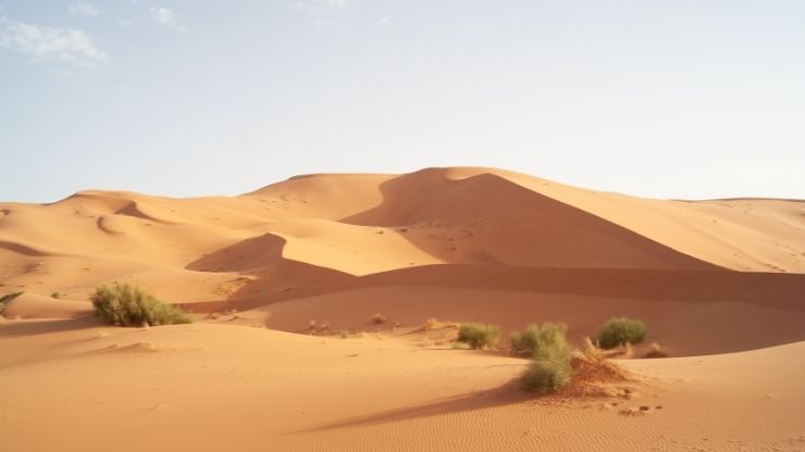 Merzouga Quad Adventure