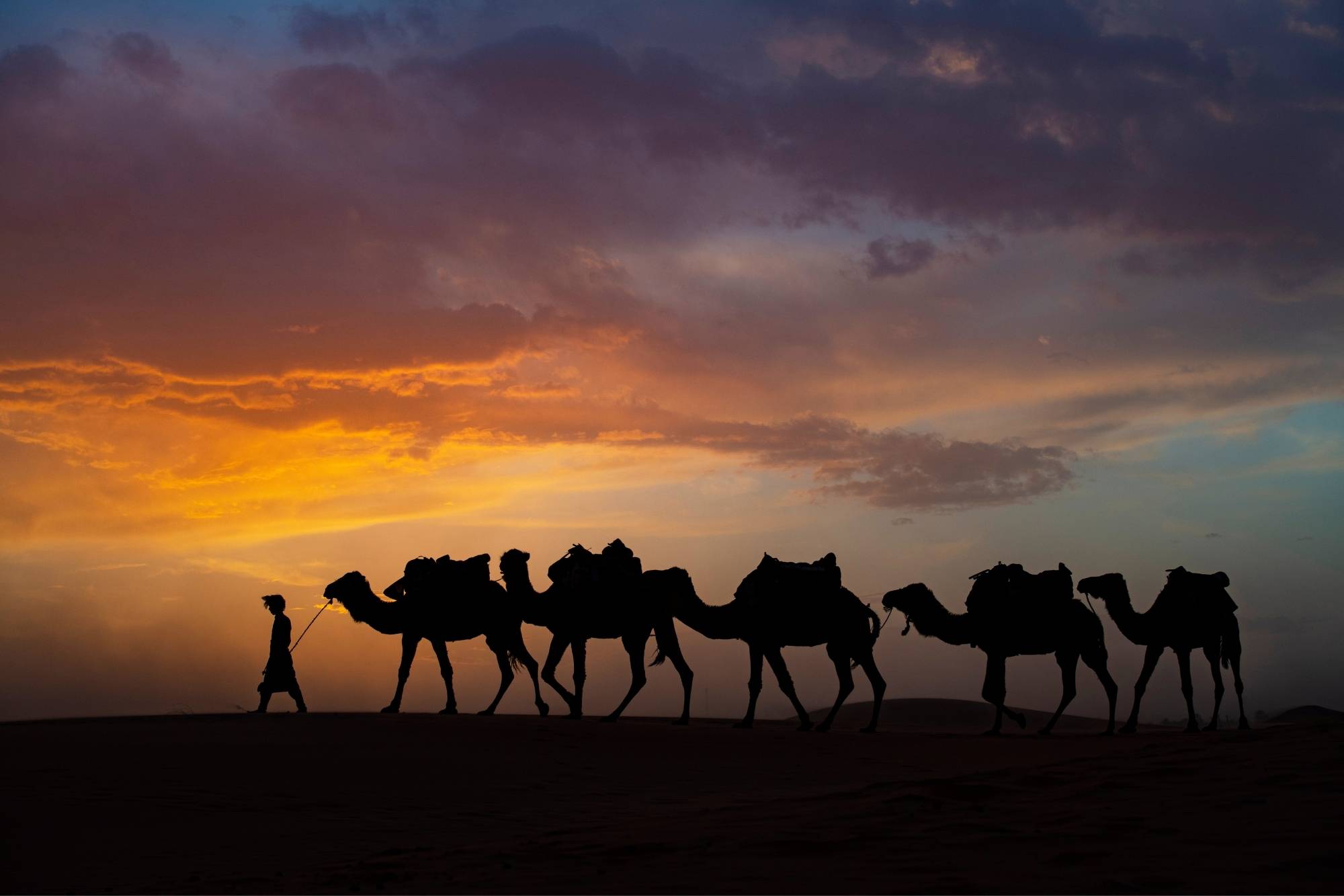 Merzouga Activities