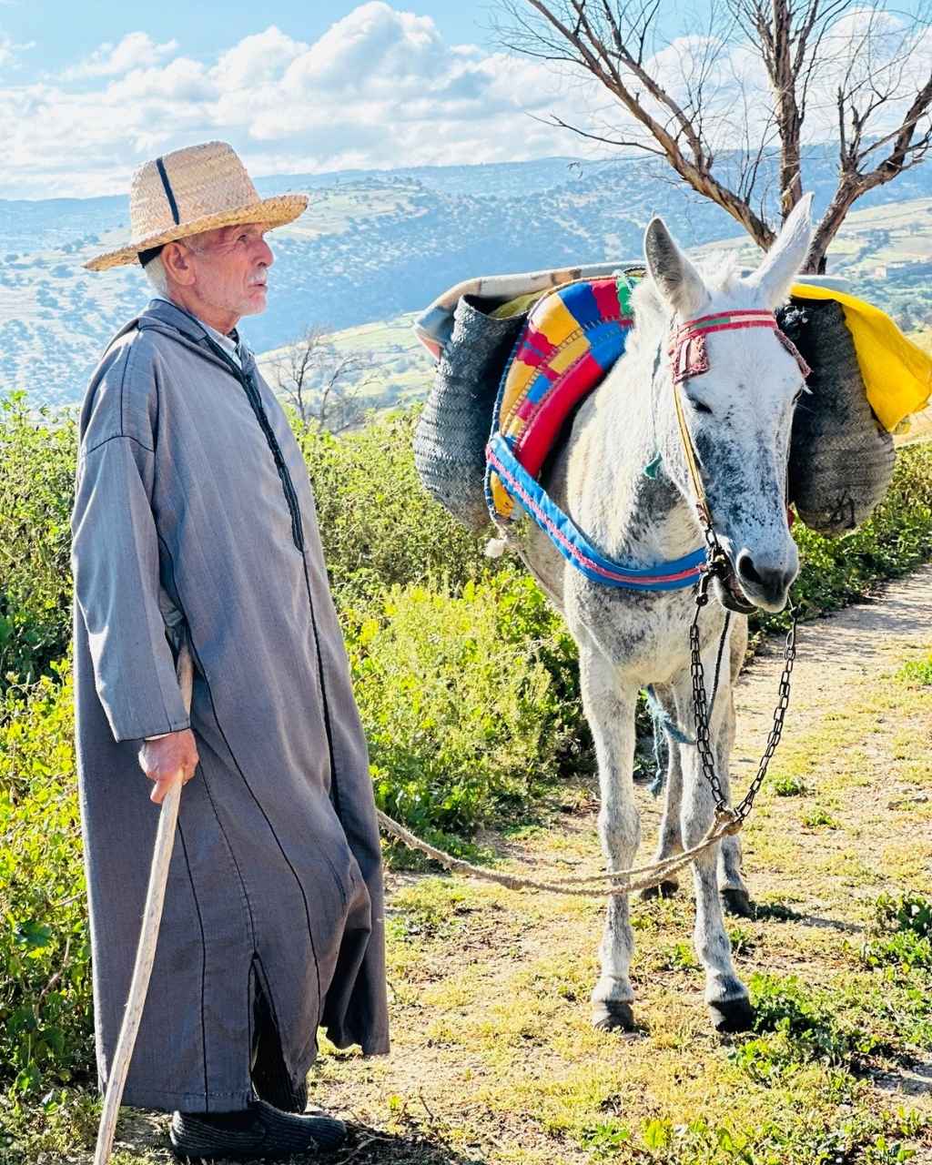 Morocco ayour travel